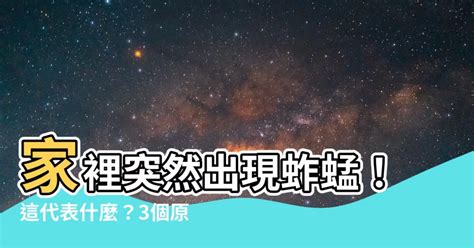 家裡出現 螢火蟲 代表 什麼|【家裡出現螢火蟲代表什麼】「房間黃綠微光」是好是壞？螢火蟲。